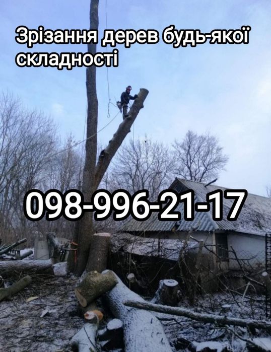 Зрізання аварійних дерев.Порізка  на дрова.Подрібнення гілля.