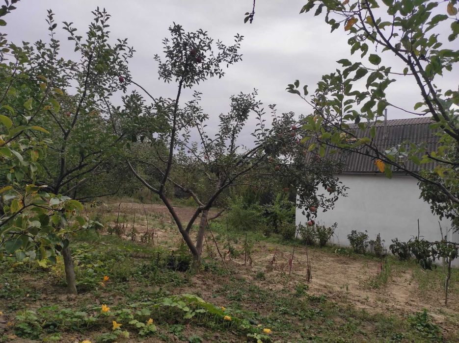 Дачний будинок в СДТ «Красне», біля Вінниці.