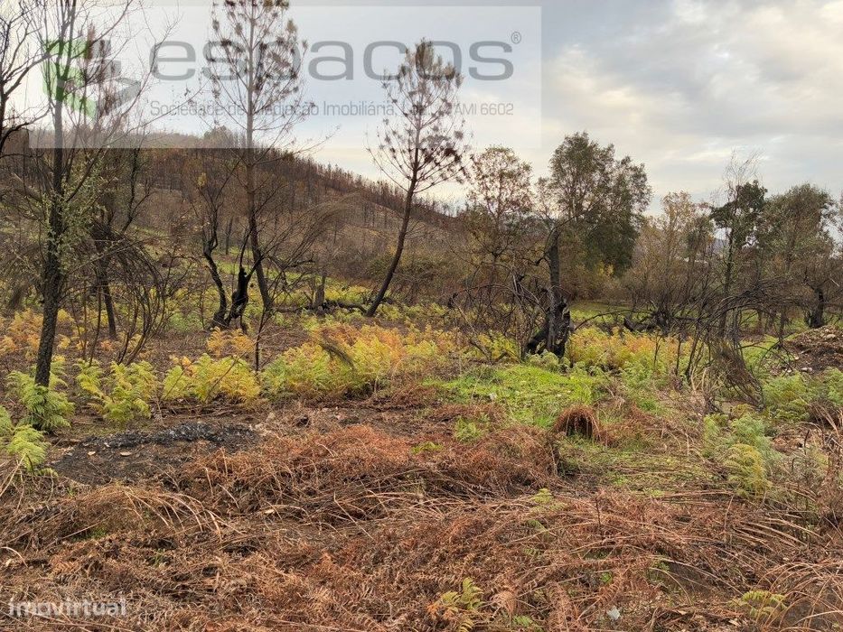 Cabeço dos Penedos