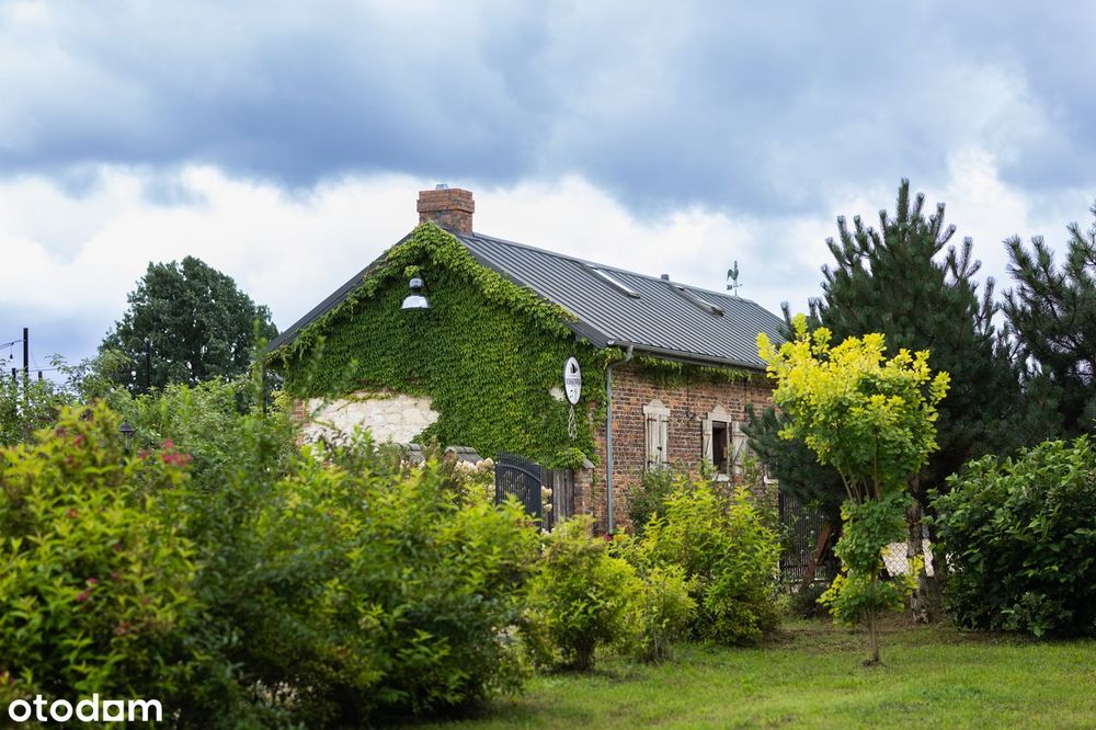 Agroturystyka 3 ha | Gotowy biznes | Dom | Eventy | Łódzkie