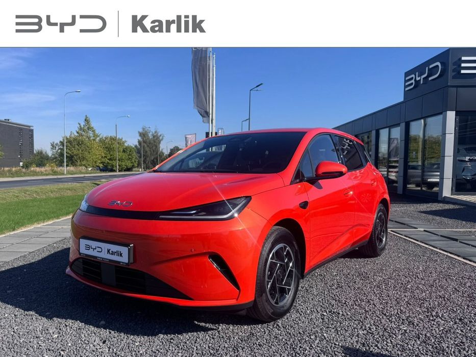 BYD Pozostałe BYD