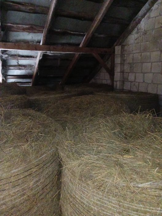 Siano i sianokiszonka zbiór 2025 baloty