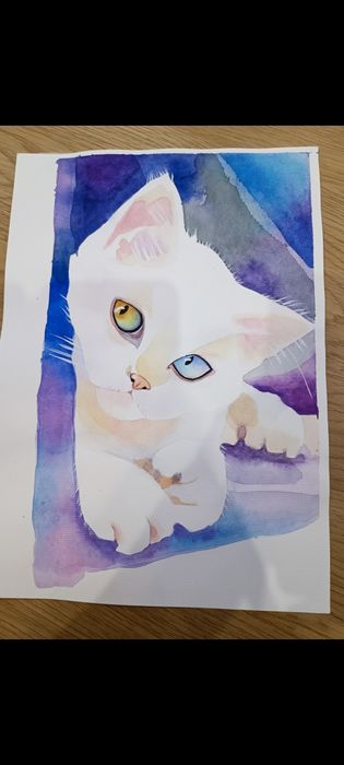 Малюнок, рисунок кота.