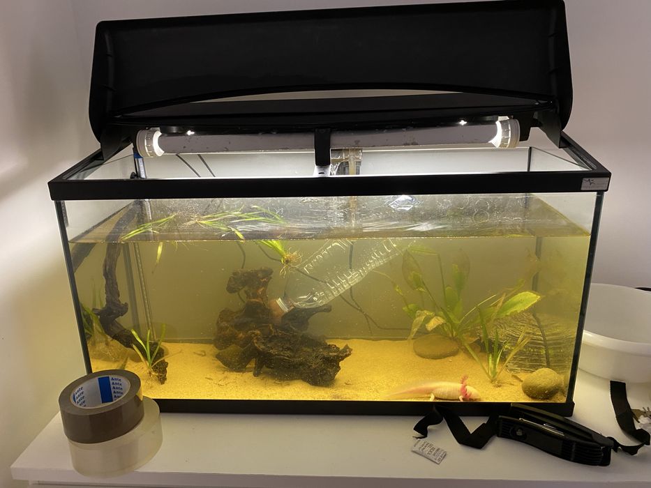 aquario 100L 80cm