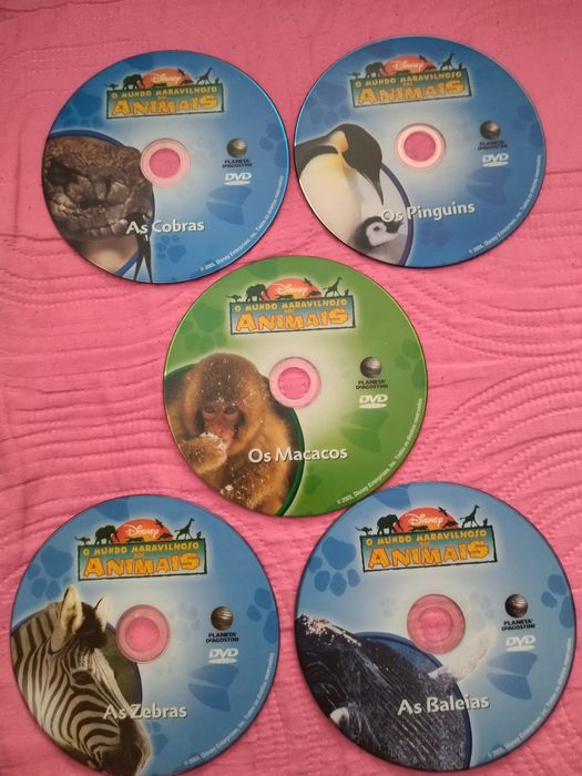 DVD "Os animais"
