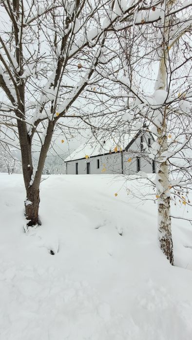 Dom domek na wynajem na wyłączność z jacuzzy  na 10 12 osób