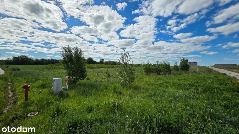 Działka budowlana Sierpin, gmina Elbląg - Widok 5
