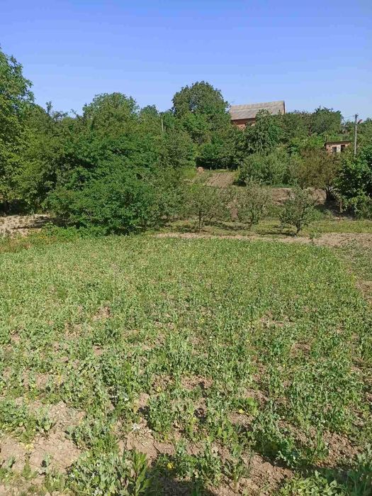 Продам ділянку 10с в районі Бучми