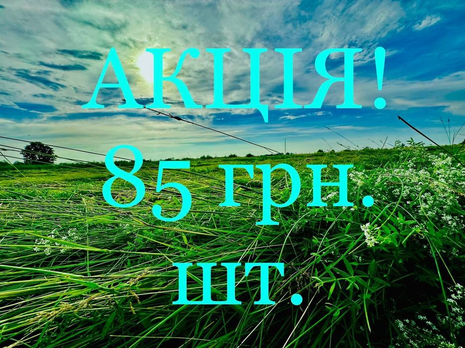 Сено (Сіно) в тюках від ВИРОБНИКА! Київ та Київська обл