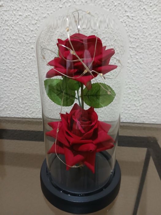 Redoma de Vidro Com Led