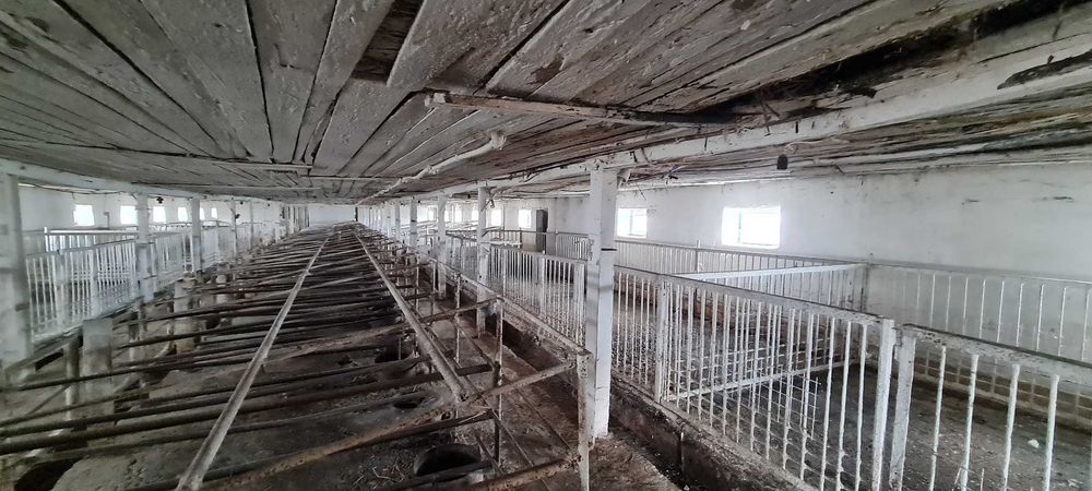 Продаж тваринницького комплексу. 5000 кв.м. 11 га.