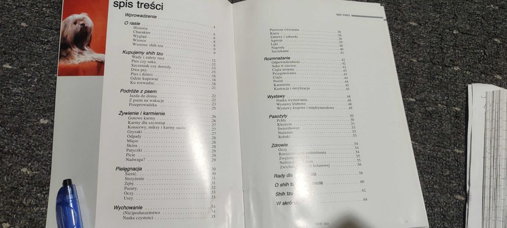 Shih Tzu wiedza w pigułce kompendium informacji i rasie bogate.