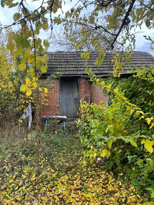 Продам будинок  у Нових Саржарах