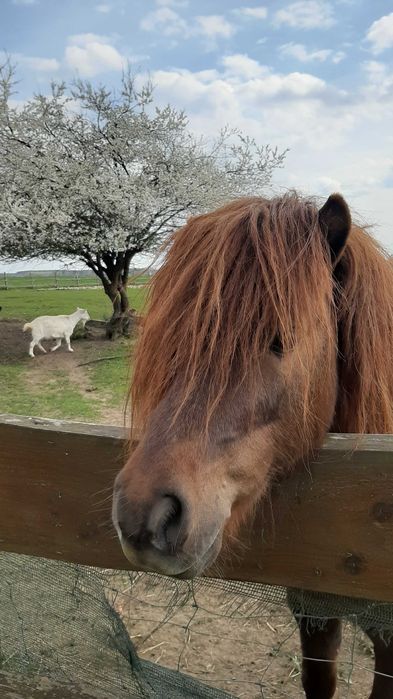 Noclegi APARTAMENTY kuchnia łazienka NIEMODLIN noclegi hotel parking