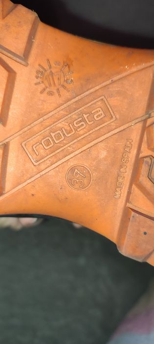 Sapatos de Segurança Robusta