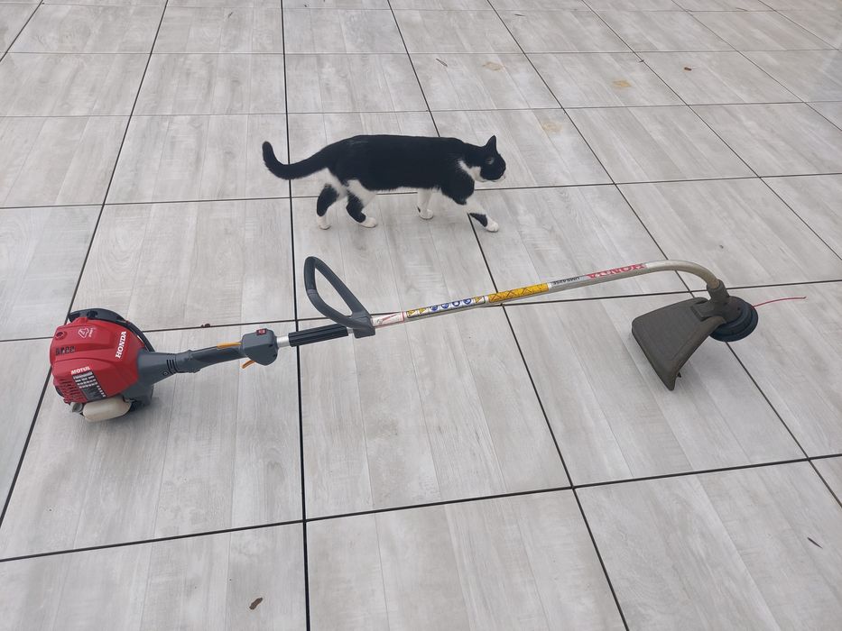 Roçadora das beiras Honda