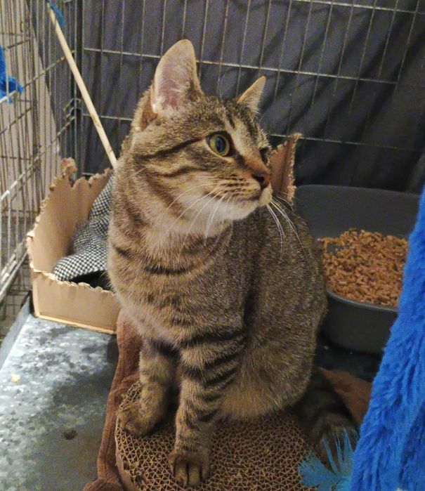 Piekna Szprotka szuka domku