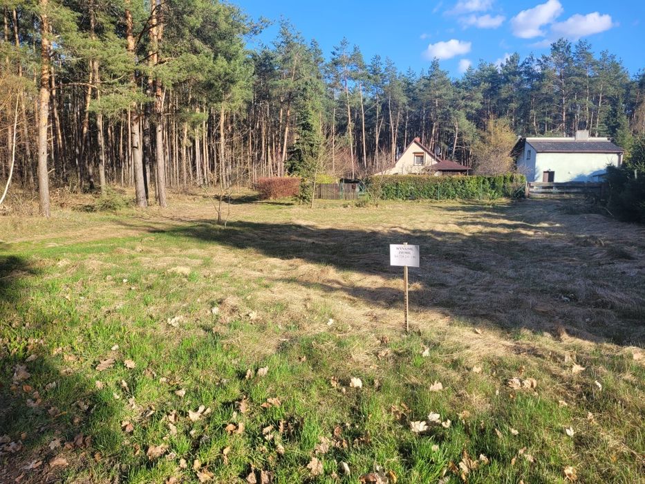 Wynajmę ziemię nad jeziorem Powidzkim-Ostrowo Stare