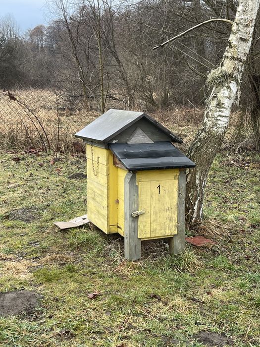 Sprzedam ule z pszczołami