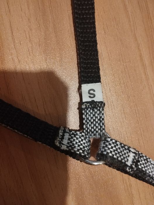 Szelki dla małego psa