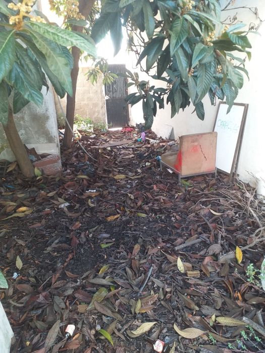 Só lixos e limpeza geral