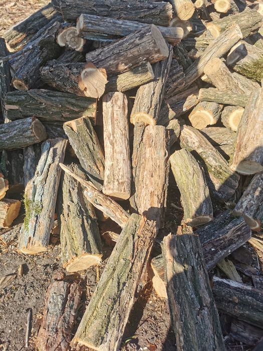 Drzewo opałowe różnego rodzaju