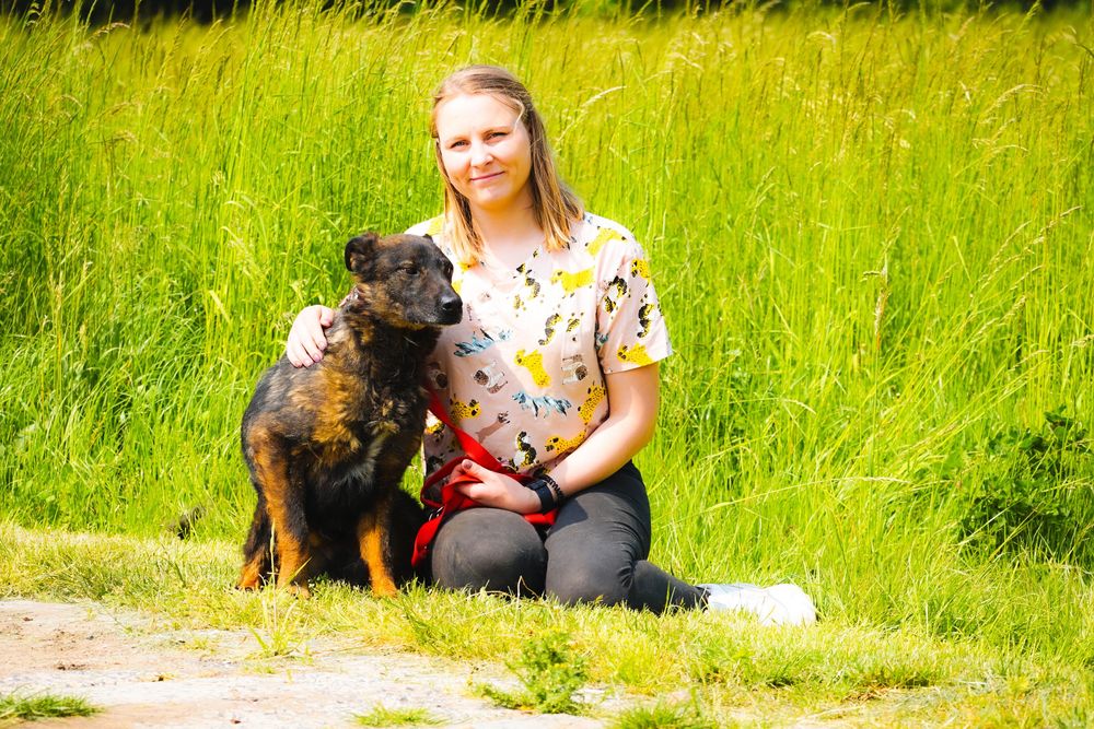 Misio czeka na swoją kolej pójścia do domku