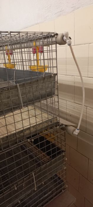 Продам клітку для перерілок