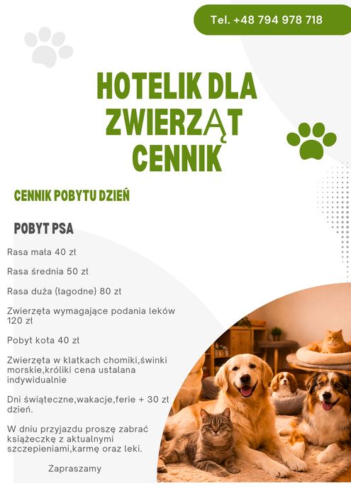 Opieka domowa Hotel dla psów i kotów oraz innych małych pupili