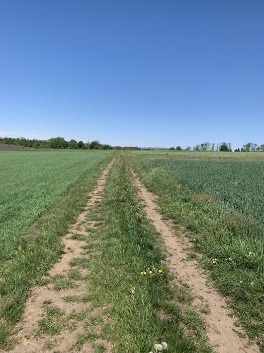 Панорамна земельна ділянка поблизу Тернополя
