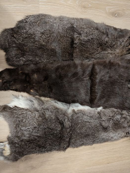 Кролячі шкури 6 штук