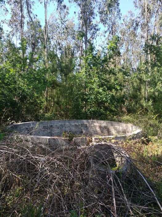 Terreno Rústico com 12 mil M2