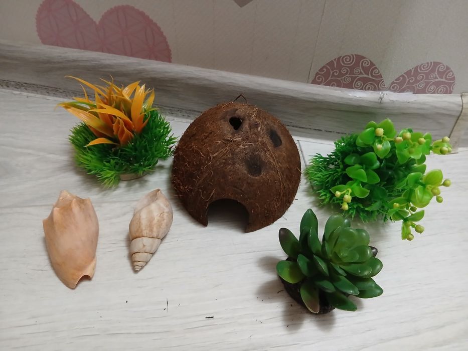 Ozdoby do akwarium lub terarium