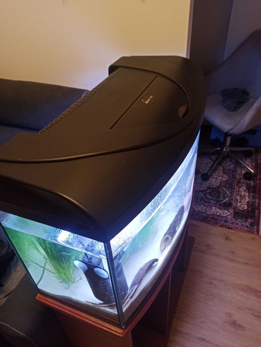 Sprzedam akwarium 112 l panorama