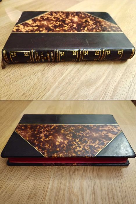 Manual de Socorros Urgentes - Dr. Carlos Lopes (1931)