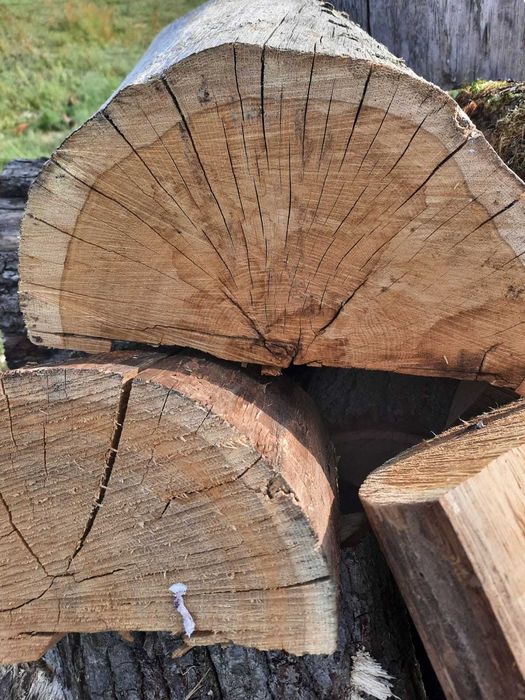 Drewno kominkowe opałowe dąb suche!!!