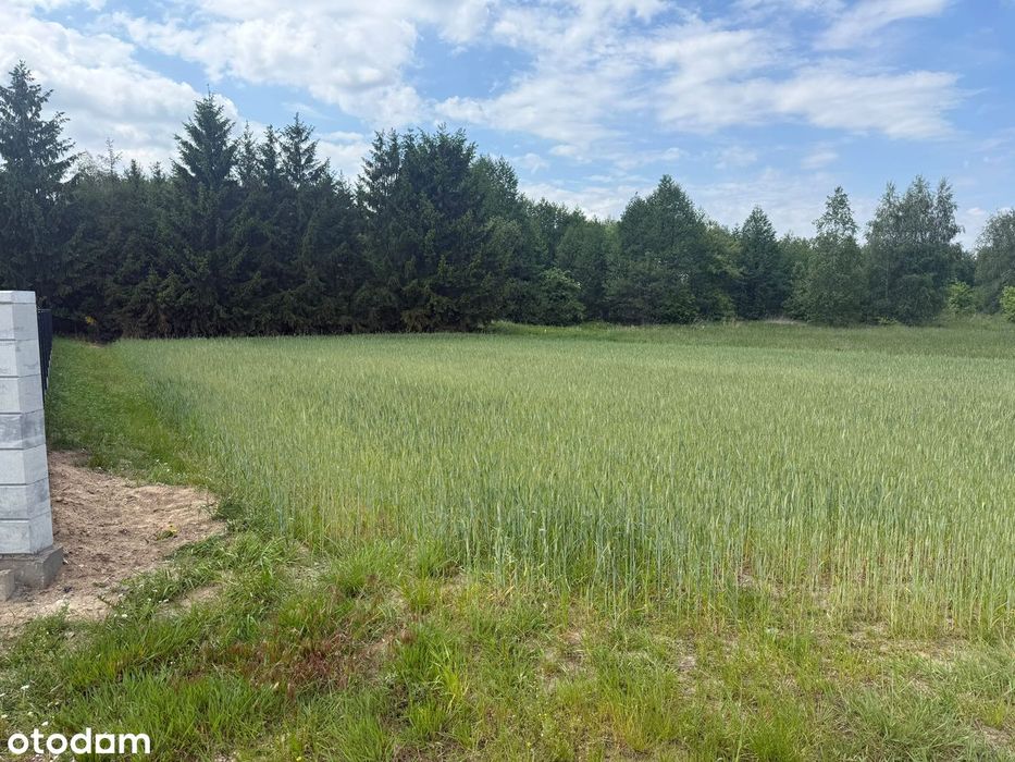 Czeremcha ul. Wiejska,1345 m² - wydane Warunki Zabudowy -do negocjacji - Widok 3