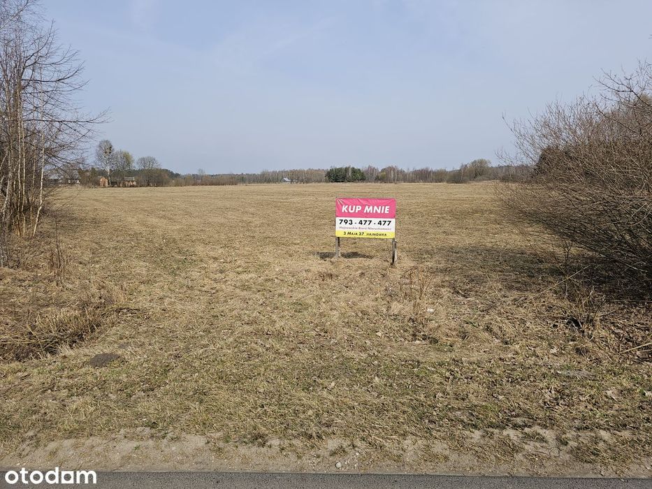 Budowlana działka bez sąsiadów w Puszczy Mikłaszewo 58 tys zł.