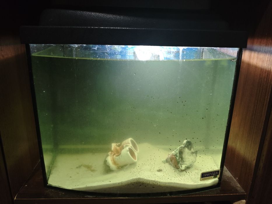 Аквариум (природа) до 25л