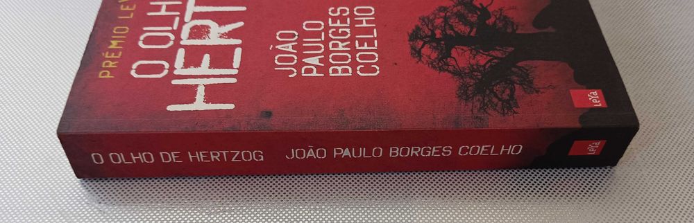 O Olho de Hertzog de João Paulo Borges Coelho