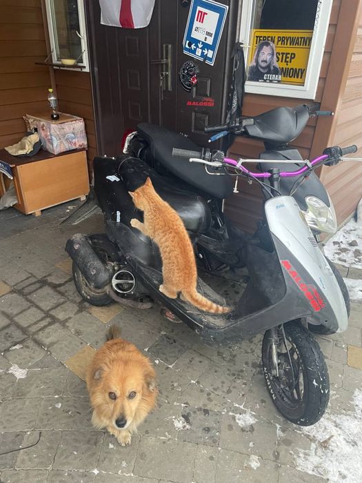 Продам Летс 2 new ТОРГ