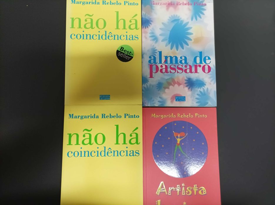 Não Há Coincidências  Alma de Pássaro  Artista  Margarida Rebelo Pinto