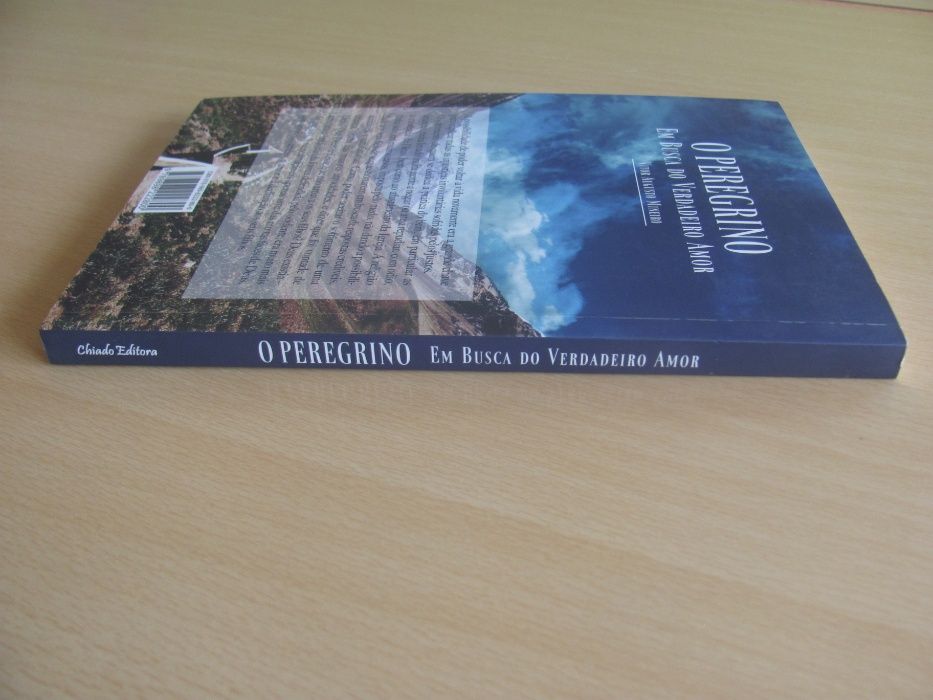O Peregrino de Vítor Augusto Mineiro