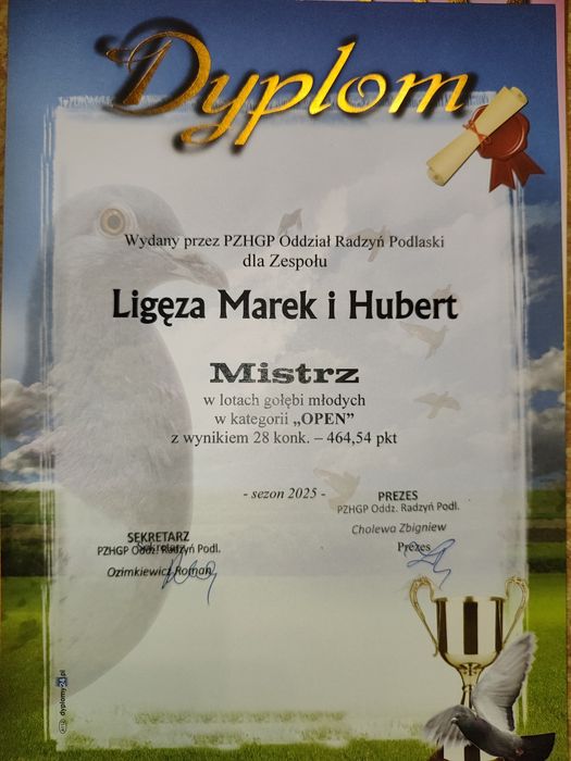 Młode gołębie pocztowe – 2026
