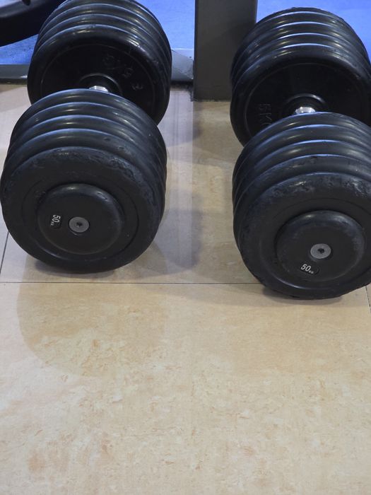 Par Halteres 50kg