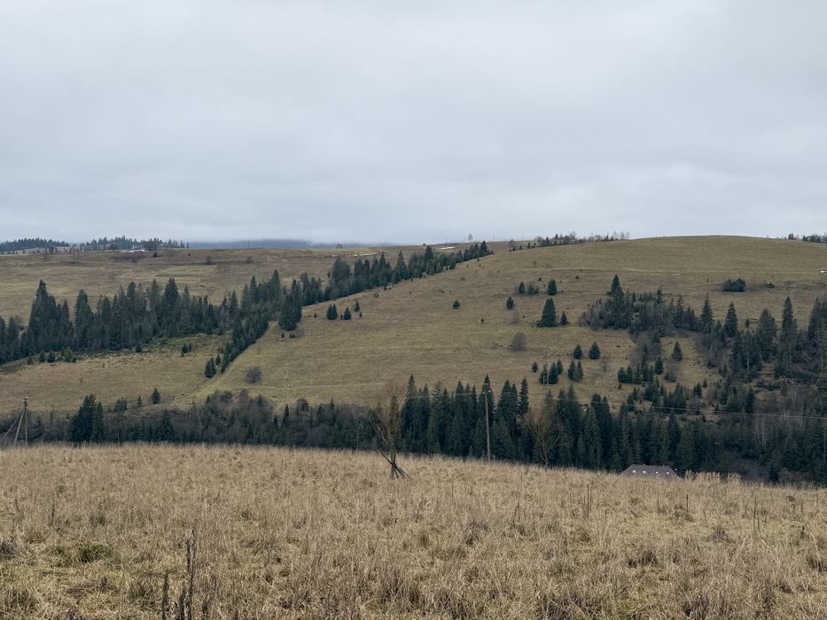 Продається ділянка осг в с. Пилипець