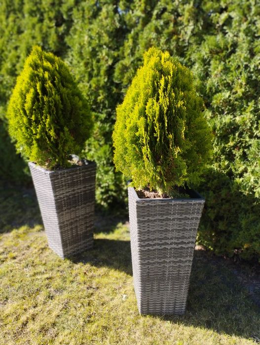 Sprzedam dwie donice z technorattanu