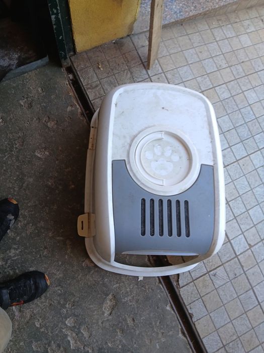 Casa de areia para gatos