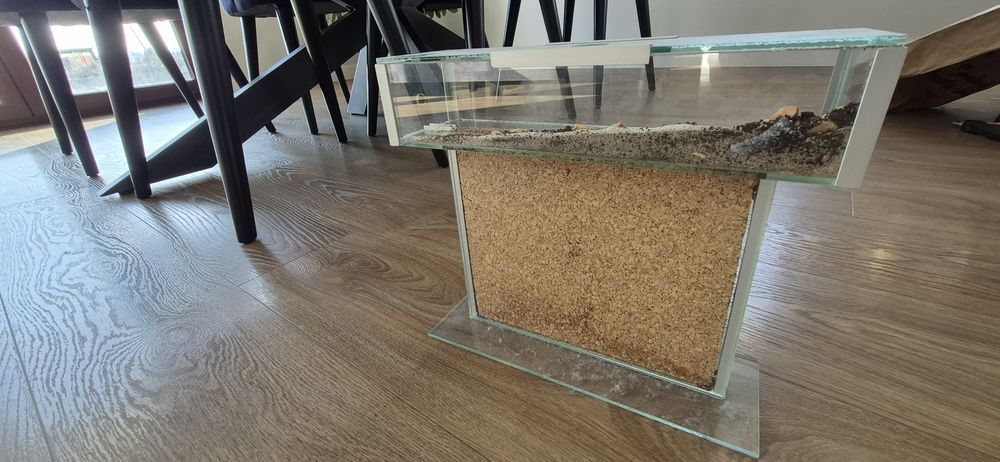 Formikarium arena terrarium