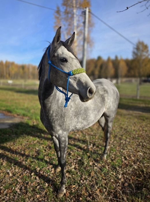 Wyprzedaż noworoczna  Atrakcyjna c**a przy sprawnej decyzji